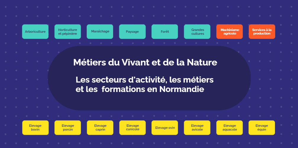 Métiers du vivant et de la nature 
